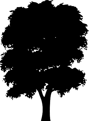 Tree silhouettes 4