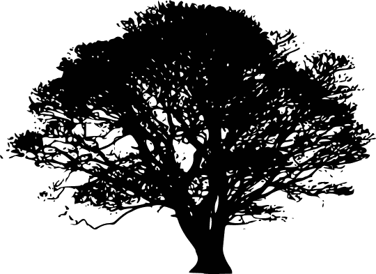 Tree silhouettes 5