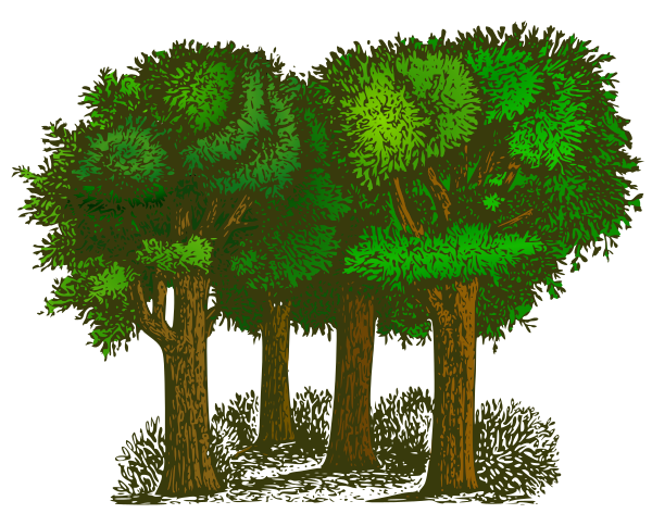 trees group