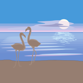 Flamingos on Beach
