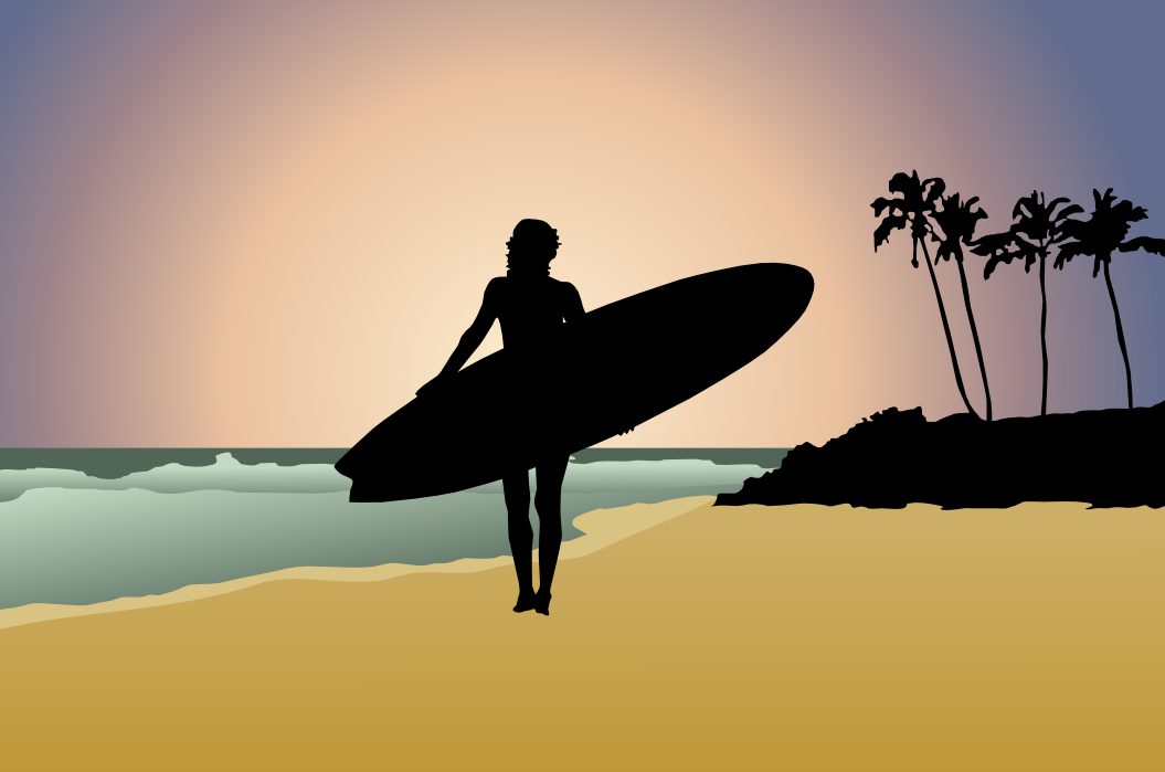 surfer silhoutte