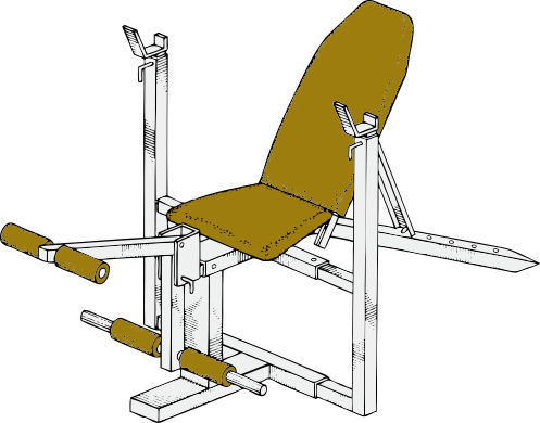 exercise bench 1