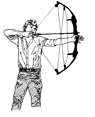 archer 1