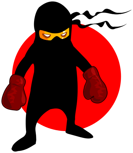 ninja boxer
