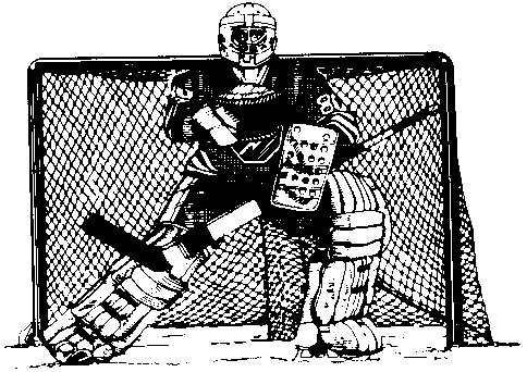 ice hockey 12