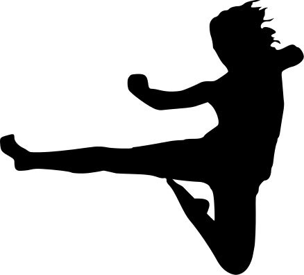 karate flying kick