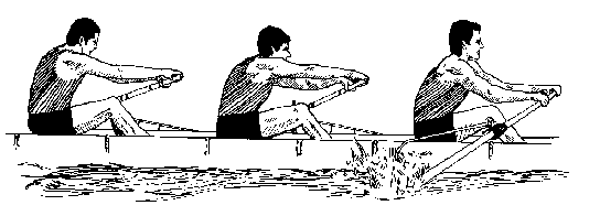 rowing 1