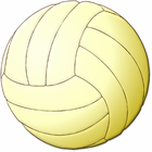 volleyball/