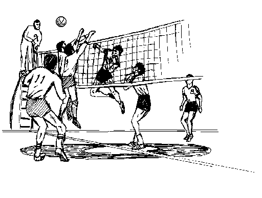 volleyball 3