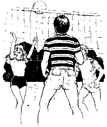 volleyball outdoor