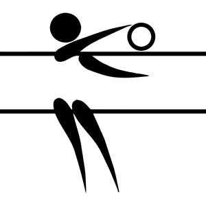 volleyball pictogram