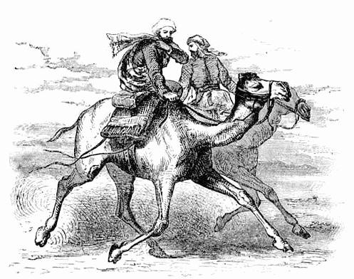 Muhammad riding camel
