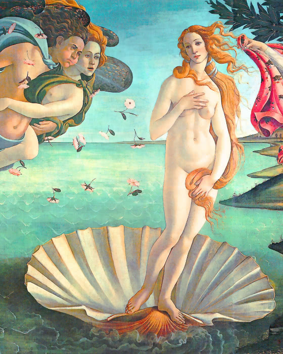 Venus birth detail