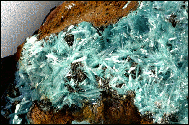 Aurichalcite crystals close up