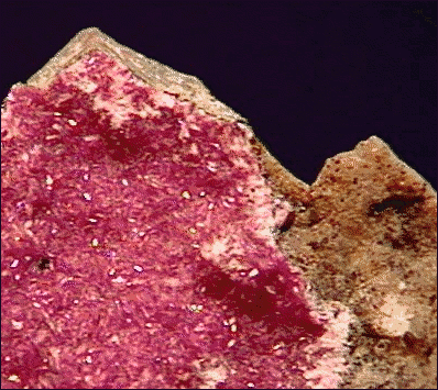 pink cobaltoan dolomite