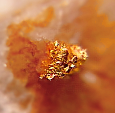 Gold flake in quartz