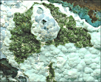 Libethenite  green coating on Chrysocolla