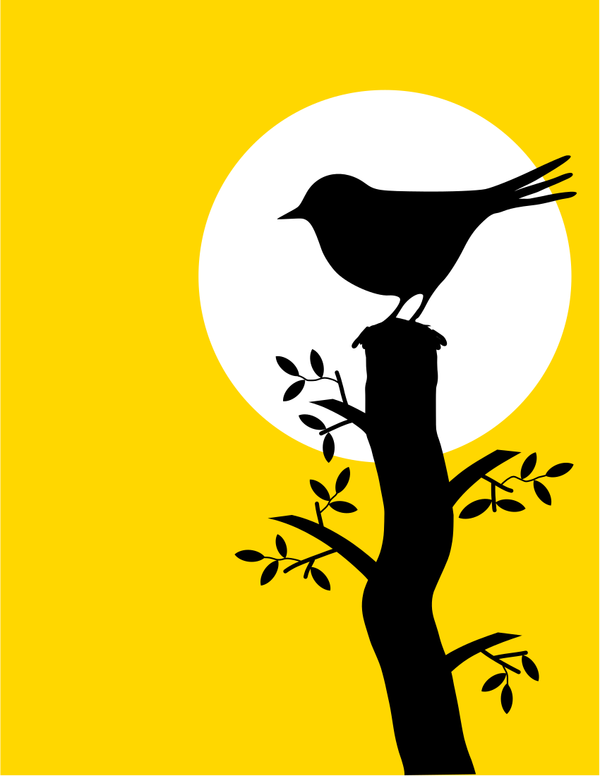 Bird on branch silhouette