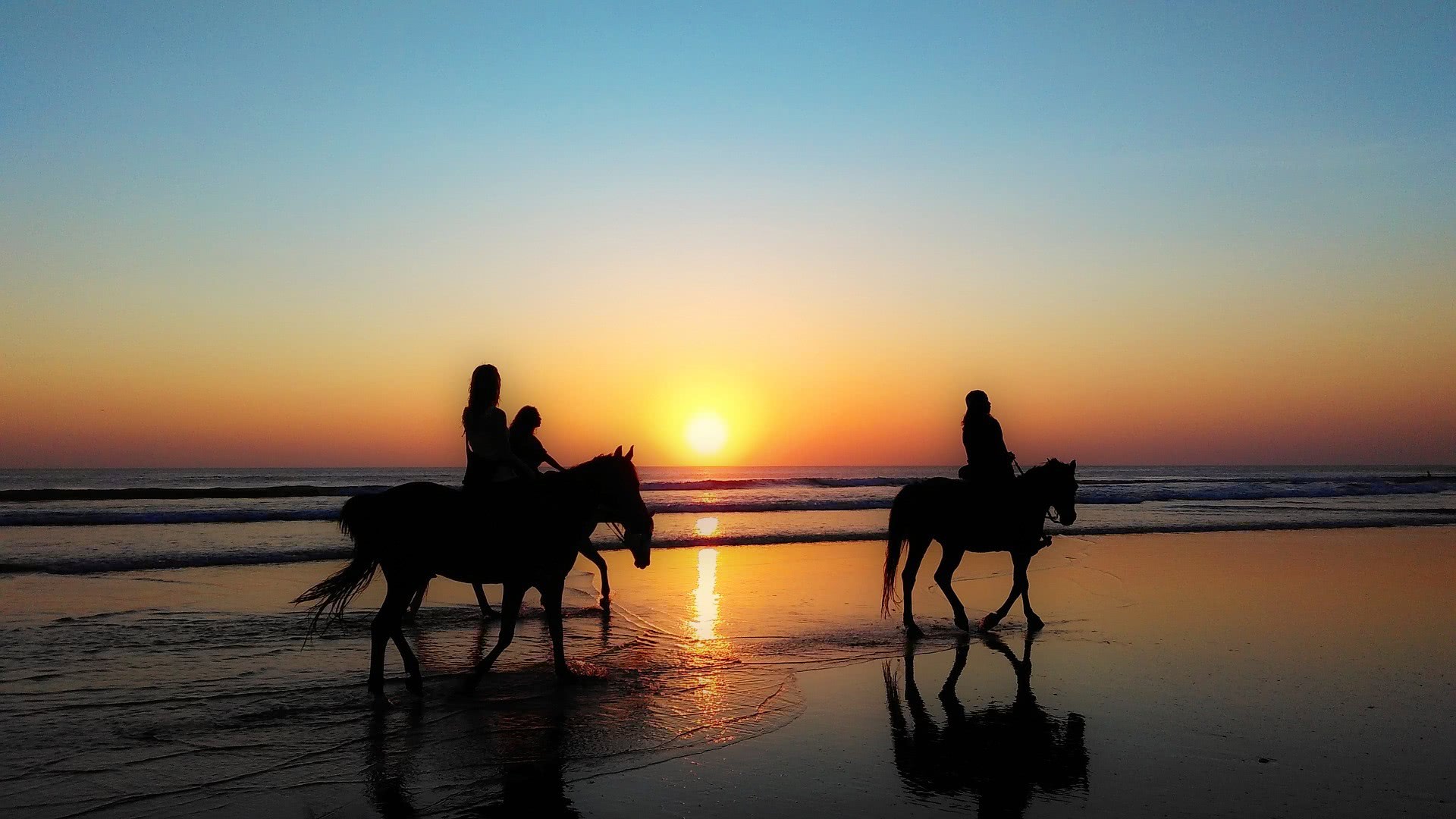 horses beach