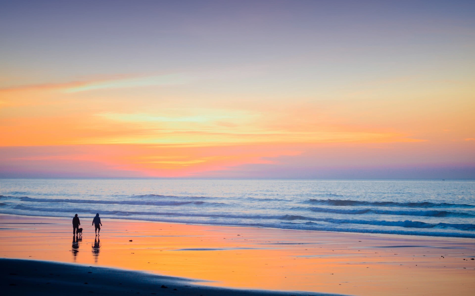 sunset beach walk dog