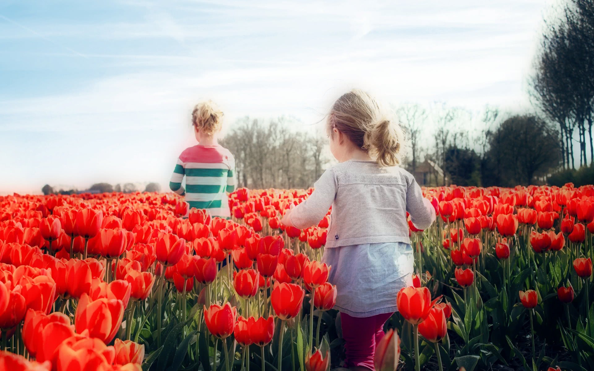 children in tulips