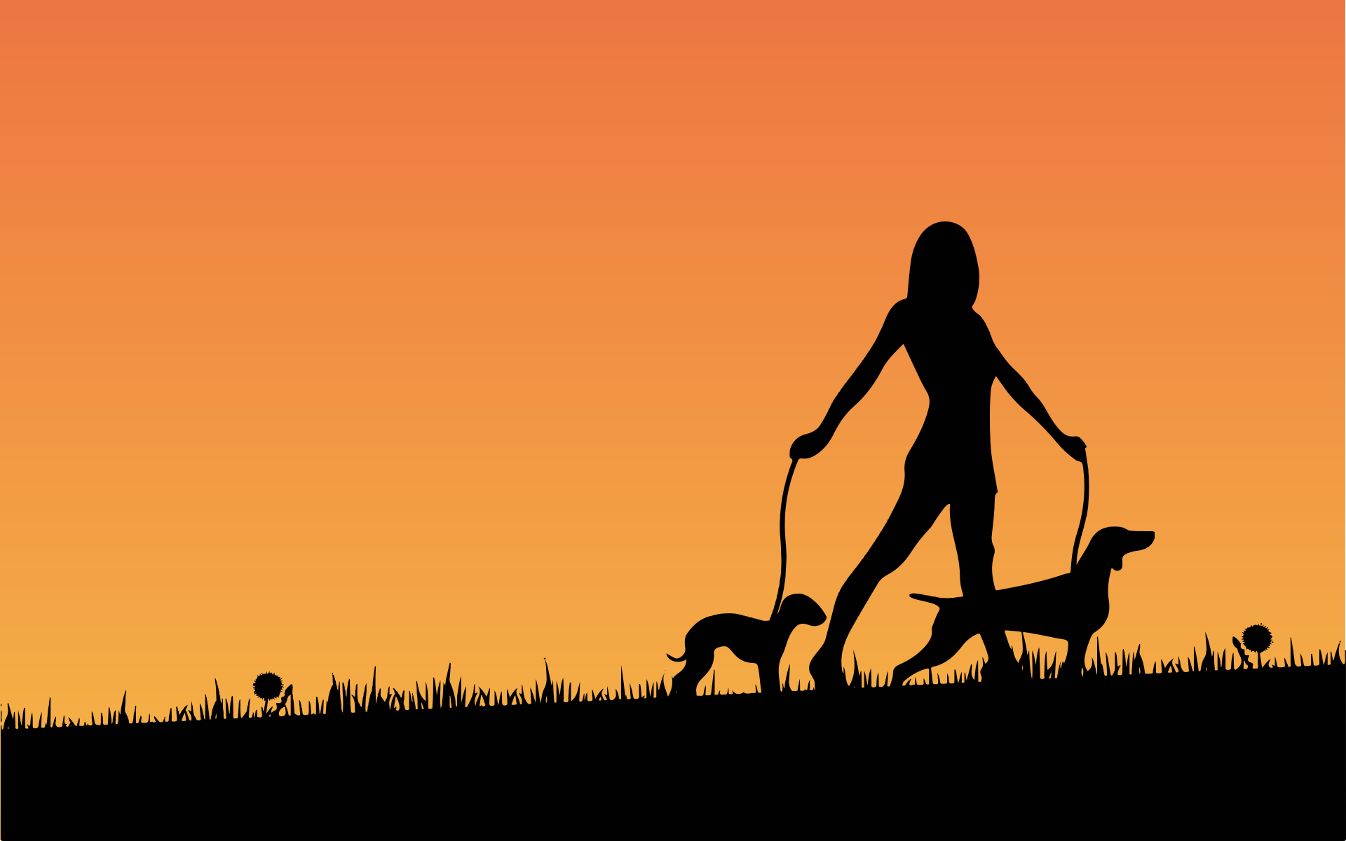 Woman Walking Dogs Sunset wide