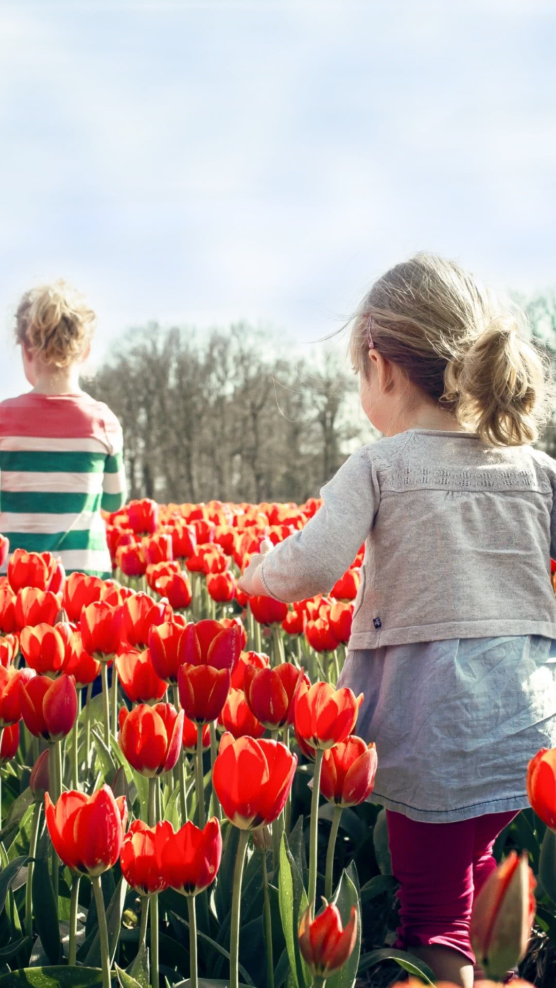 Children in tulips