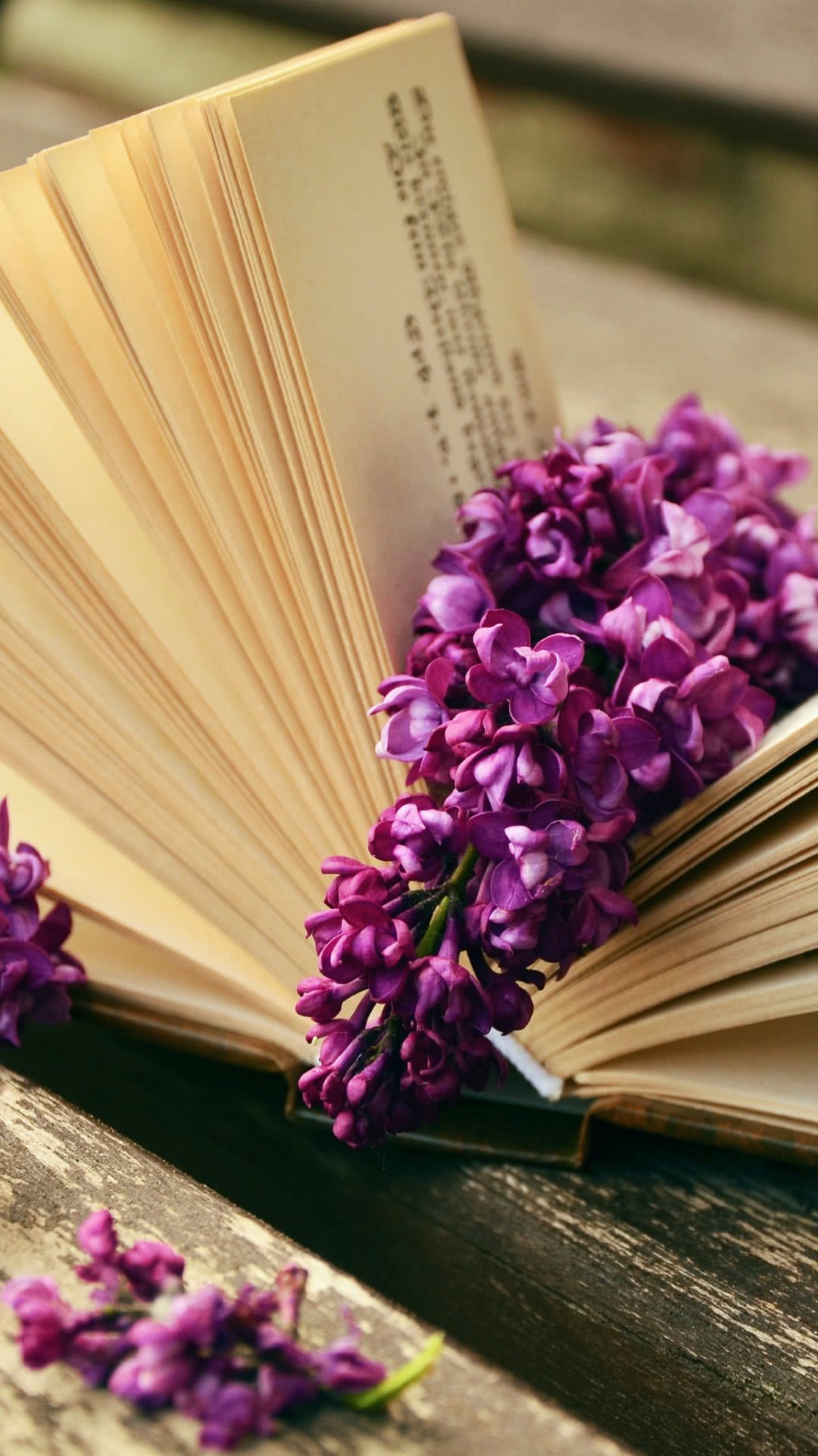 good book and Lilacs