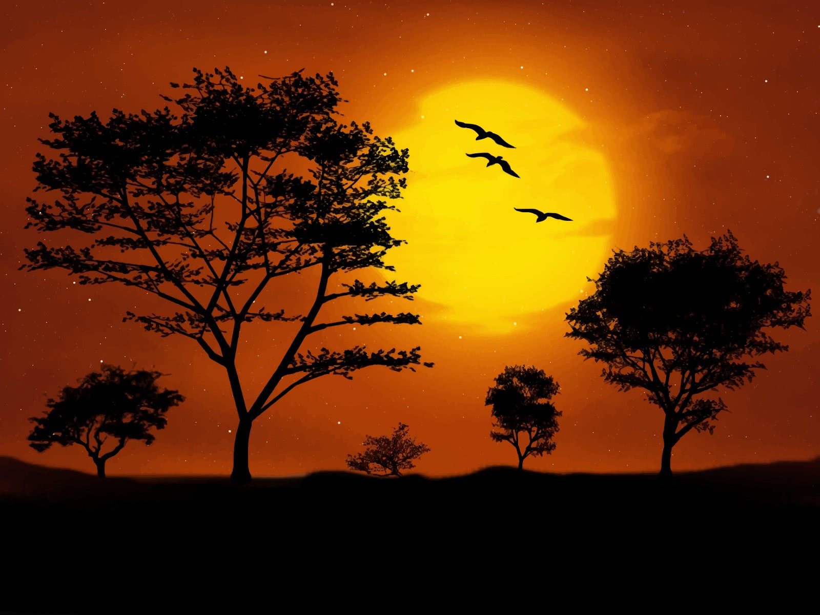 sunset savanna