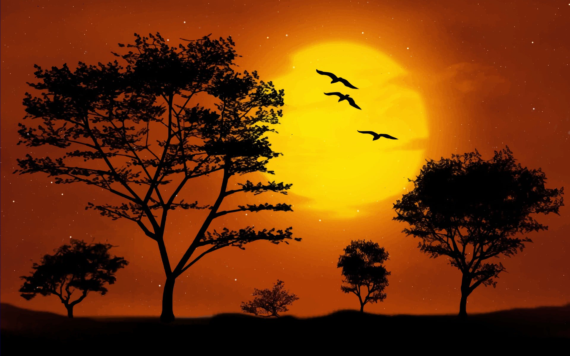 sunset savanna wide
