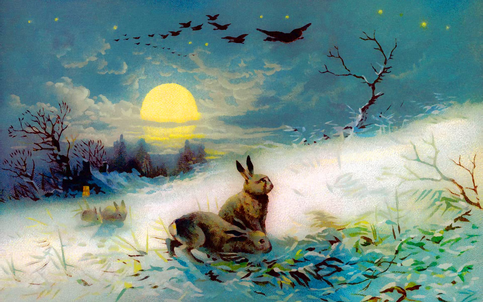 winter rabbit postcard