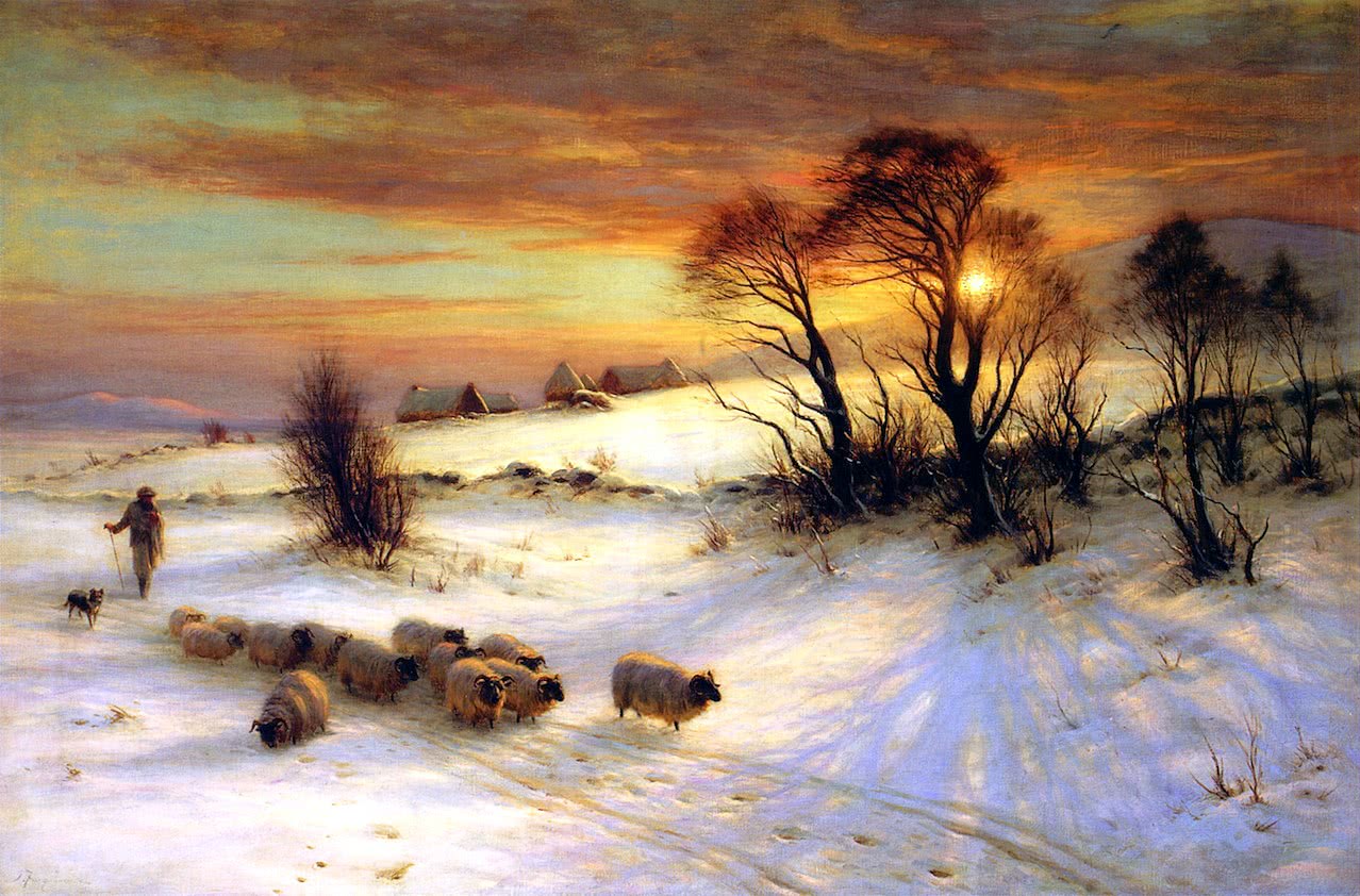 Herding Sheep in Winter