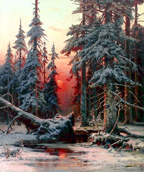 winter woods sunset