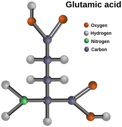 glutamic acid