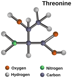 threonine