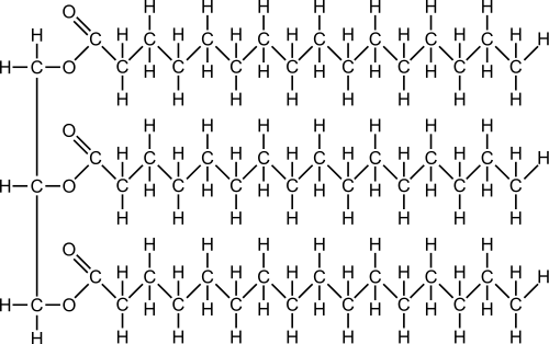 fat molecule