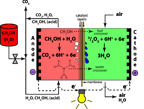 Direct Methanol Fuel Cell  Methanol and Water Crossover