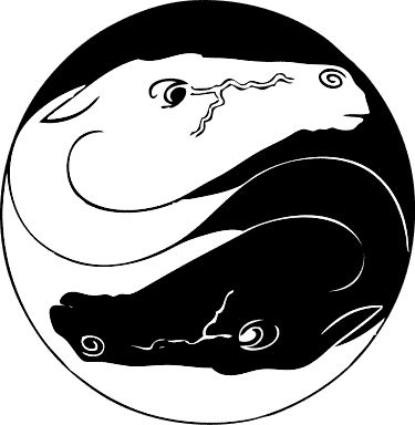yin yang horses