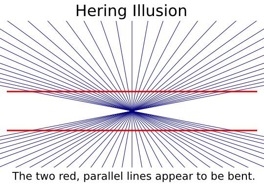 Hering illusion label