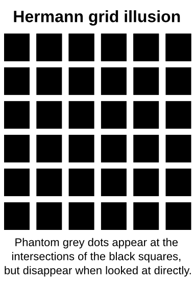Hermann grid illusion label