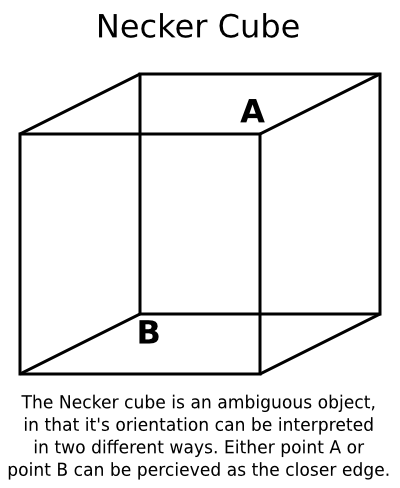 Necker cube label