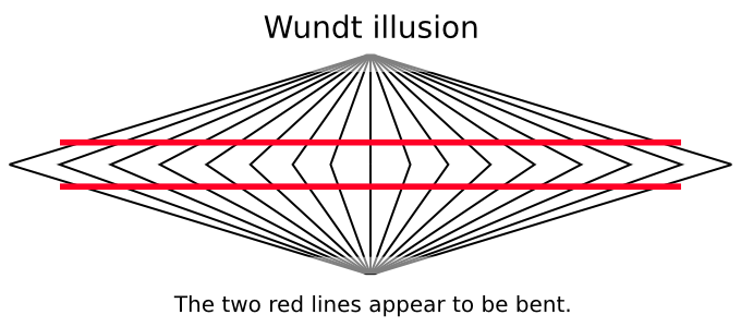 Wundt illusion label