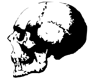 skull 06