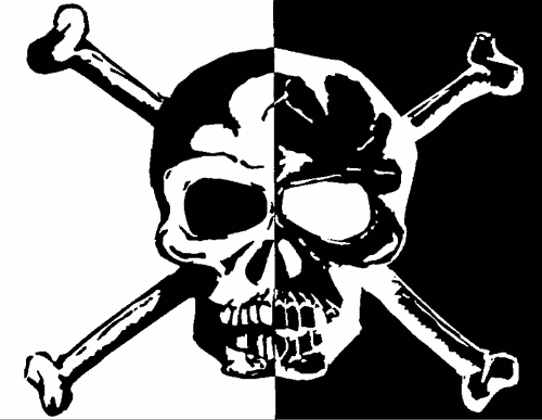 2 tone skull flag