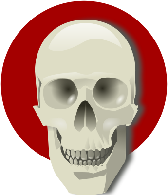 human skull with red background