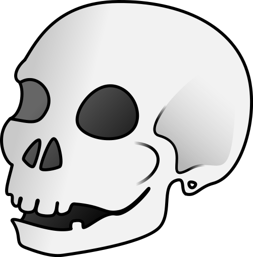 skull profile lightly shaded