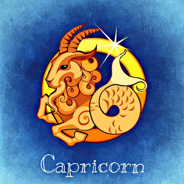 Capricorn fabric