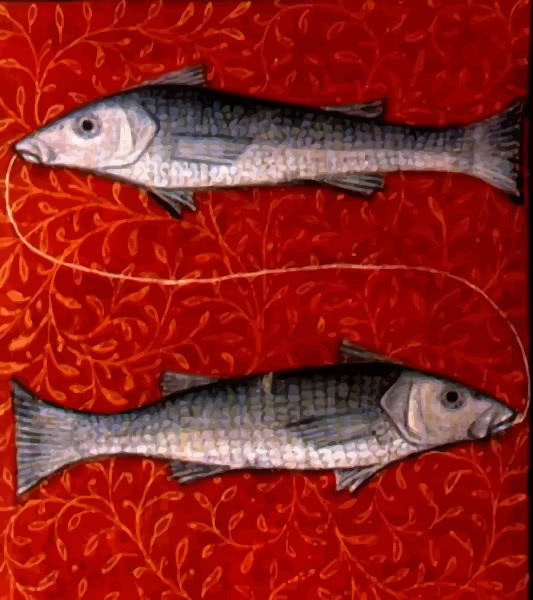 Pisces illustration