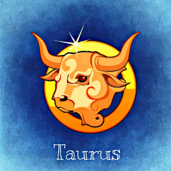 Taurus fabric