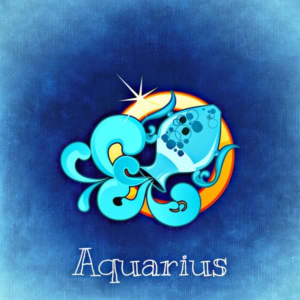 aquarius fabric